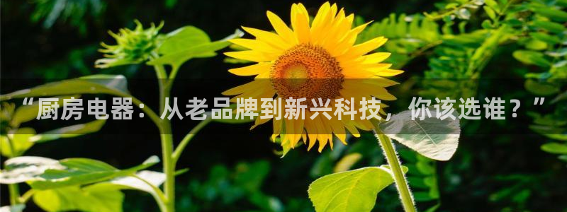 cq9传奇电子贴吧