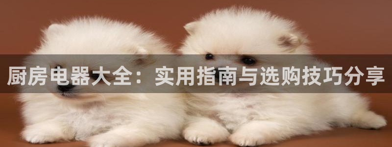 cq9传奇电子怎么赚钱