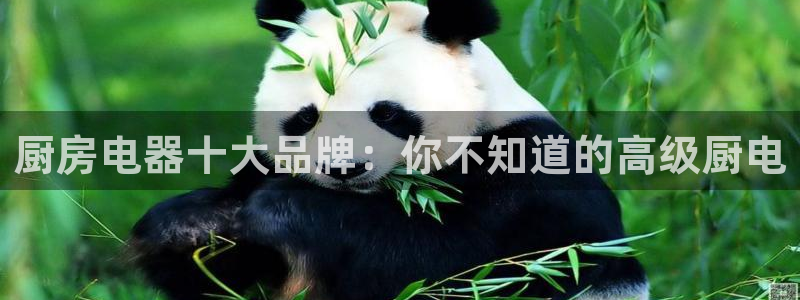 cq9电子里的钻石