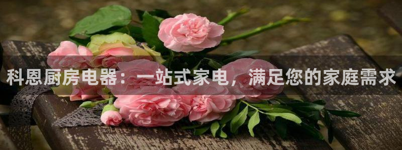 cq9传奇电子首页