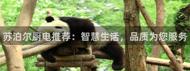 cq9 电子游戏平台