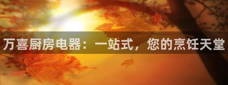 关于cq9电子加难程序