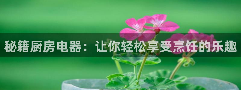 cq9电子技巧心得