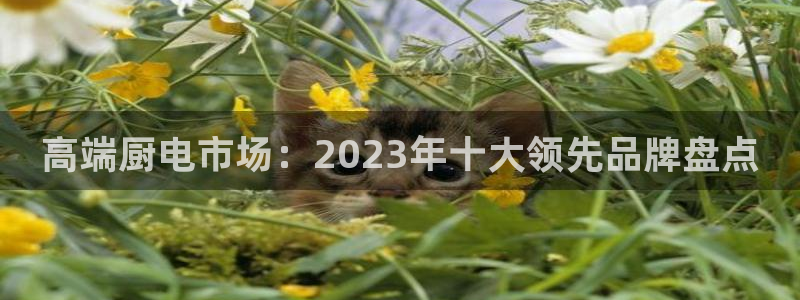 cq9电子官网可以玩吗