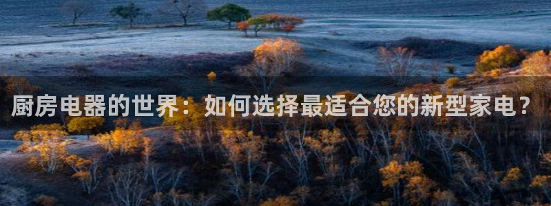 cq9传奇电子赌博