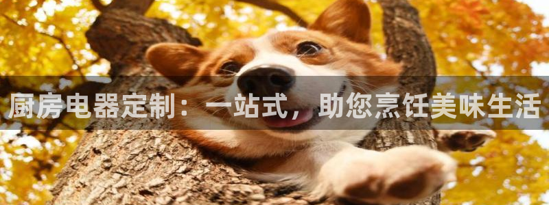 cq9电子飞天财神视频