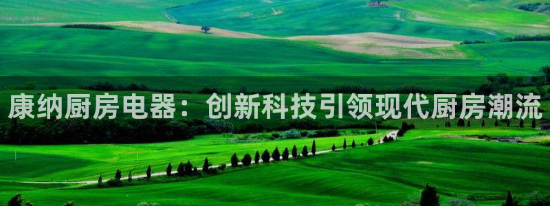 电子最新cq9游戏视频