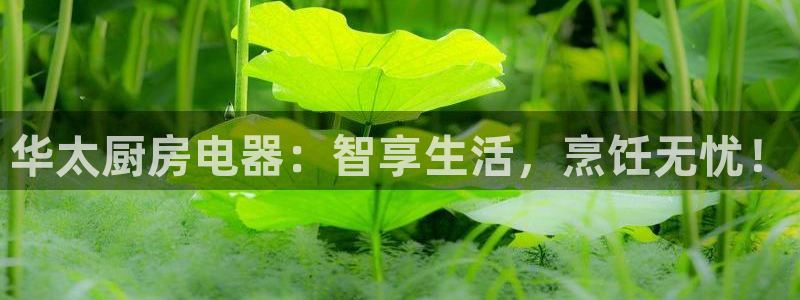 cq9飞鸟派对电子锤