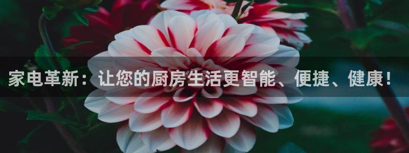 cq9电子平台入口